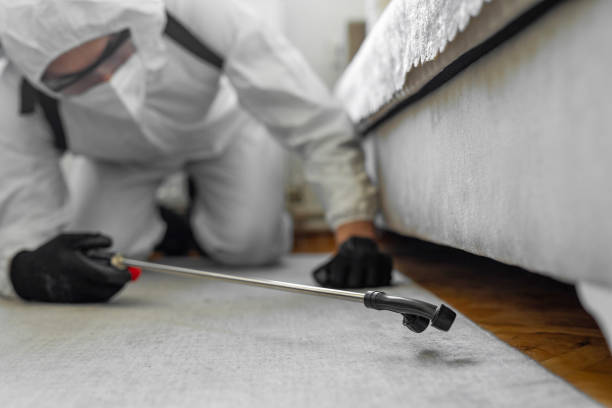 Professional Bed Bug Control technician working in Vernon Hills, IL