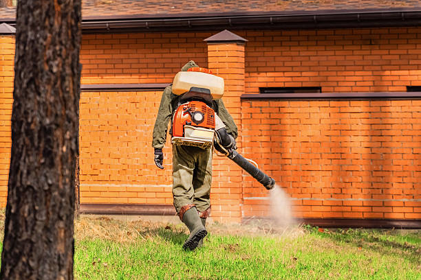 Trusted Bed Bug Control service in Vernon Hills, IL - Nex Pest Control